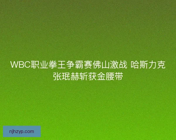 WBC职业拳王争霸赛佛山激战 哈斯力克张珉赫斩获金腰带