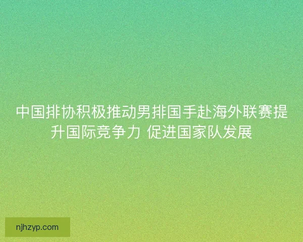中国排协积极推动男排国手赴海外联赛提升国际竞争力 促进国家队发展